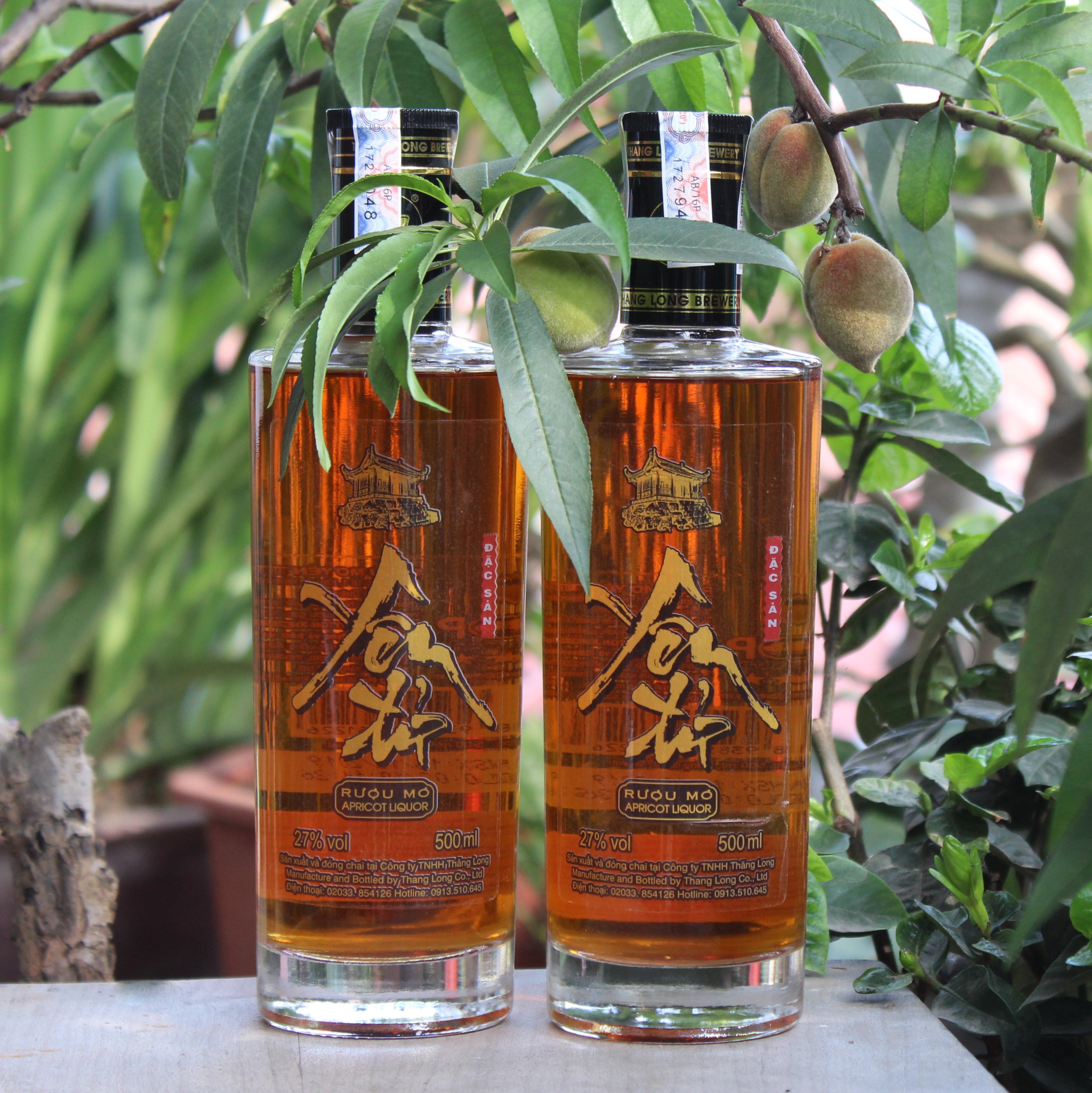 Thùng Rượu Mơ Yên Tử 27% Vol - 12 Chai Thủy Tinh 500ml