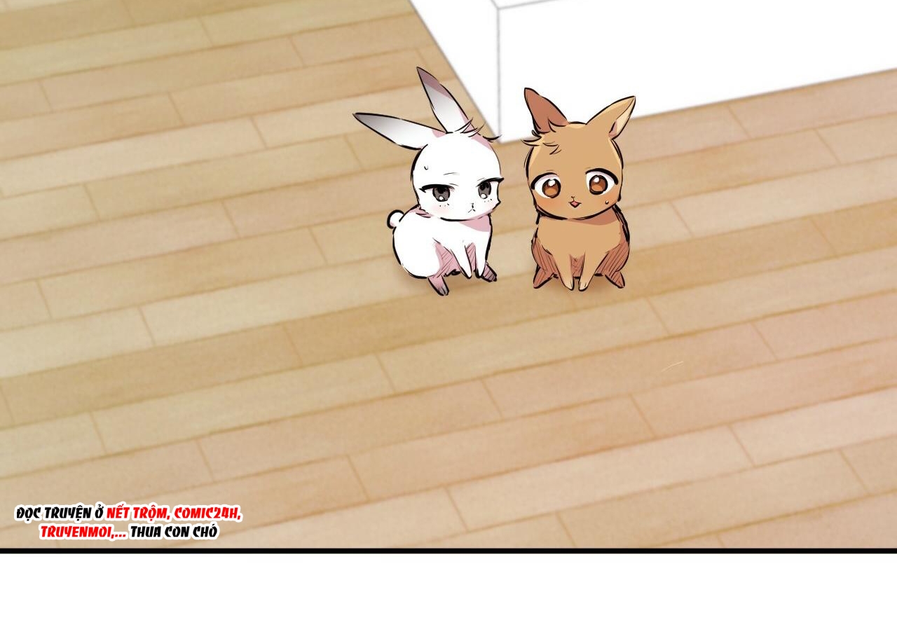 đàn thỏ của habibi chapter 29 215