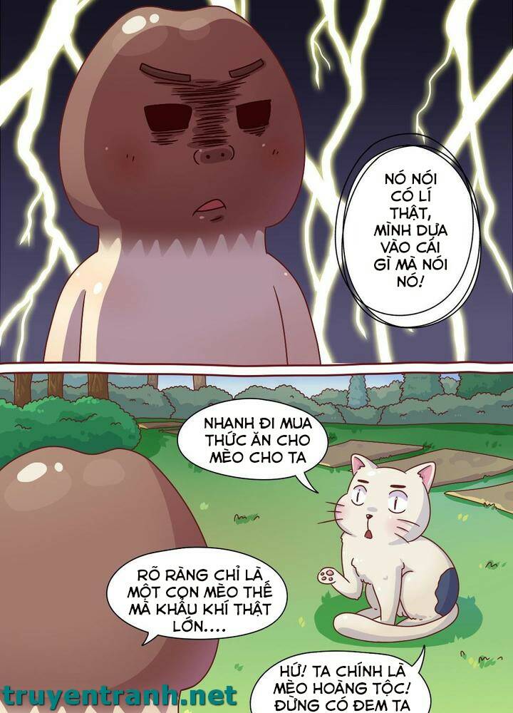 cây nấm kì khả chapter 7 7