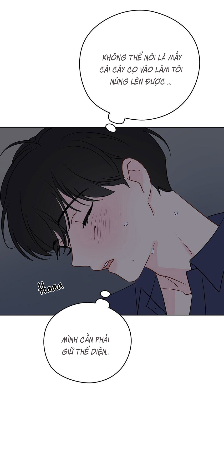 chỉ là giấc mơ thôi phải không? chapter 23 62