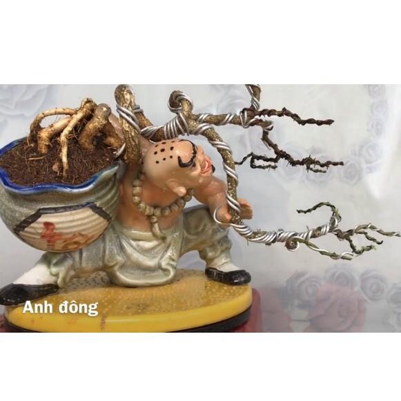 Chậu tượng la hán ôm vò