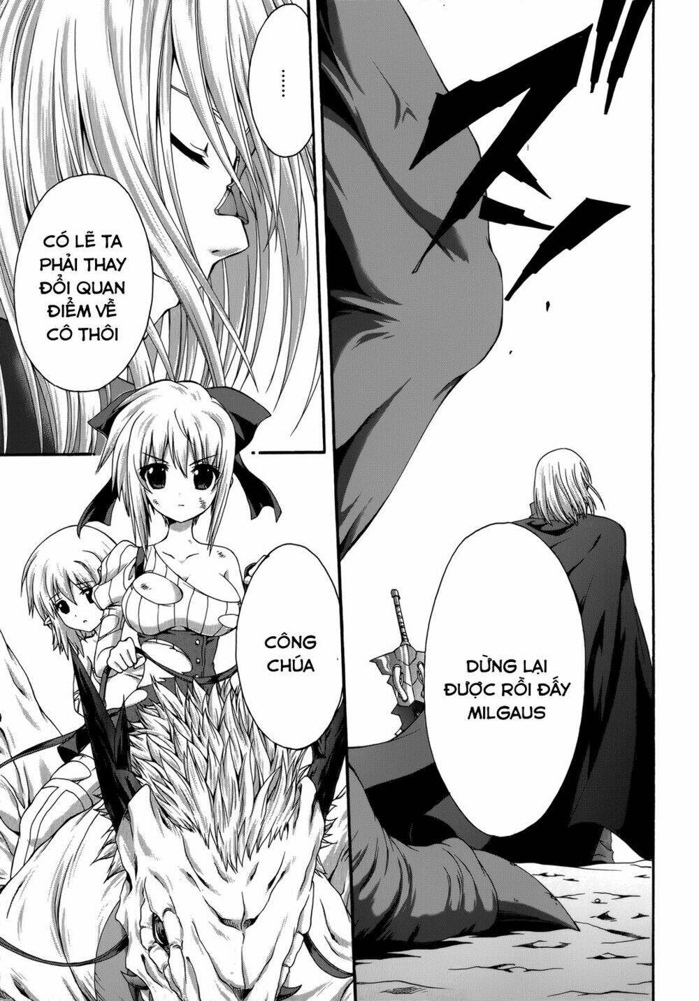 seikoku no dragonar chapter 23 15