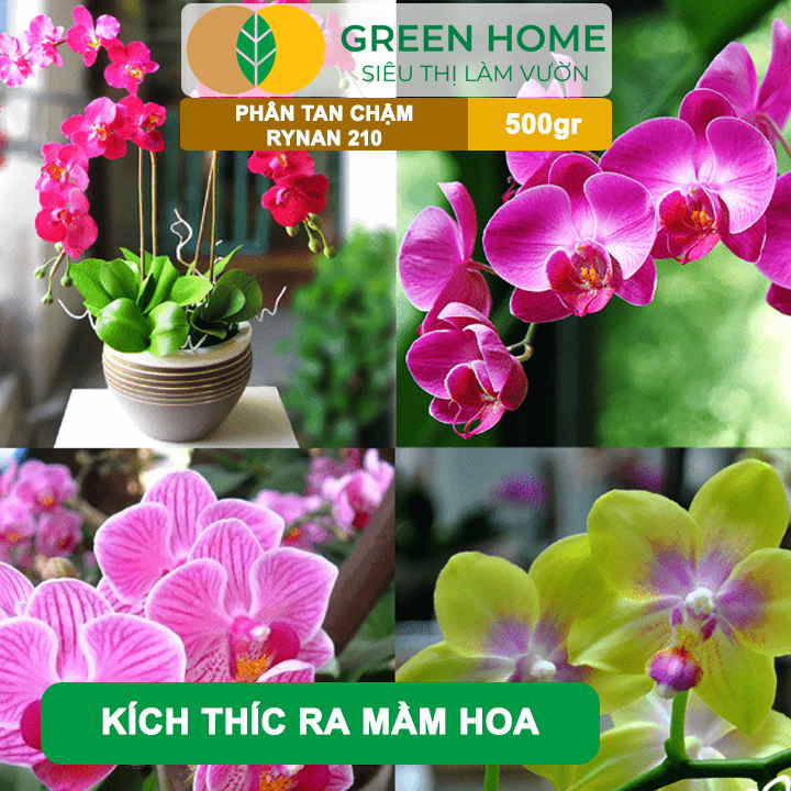 Phân Tan Chậm GreenHome, Rynan 210, Bao 500gr, Chuyên Dùng Cho Phong Lan Trưởng Thành