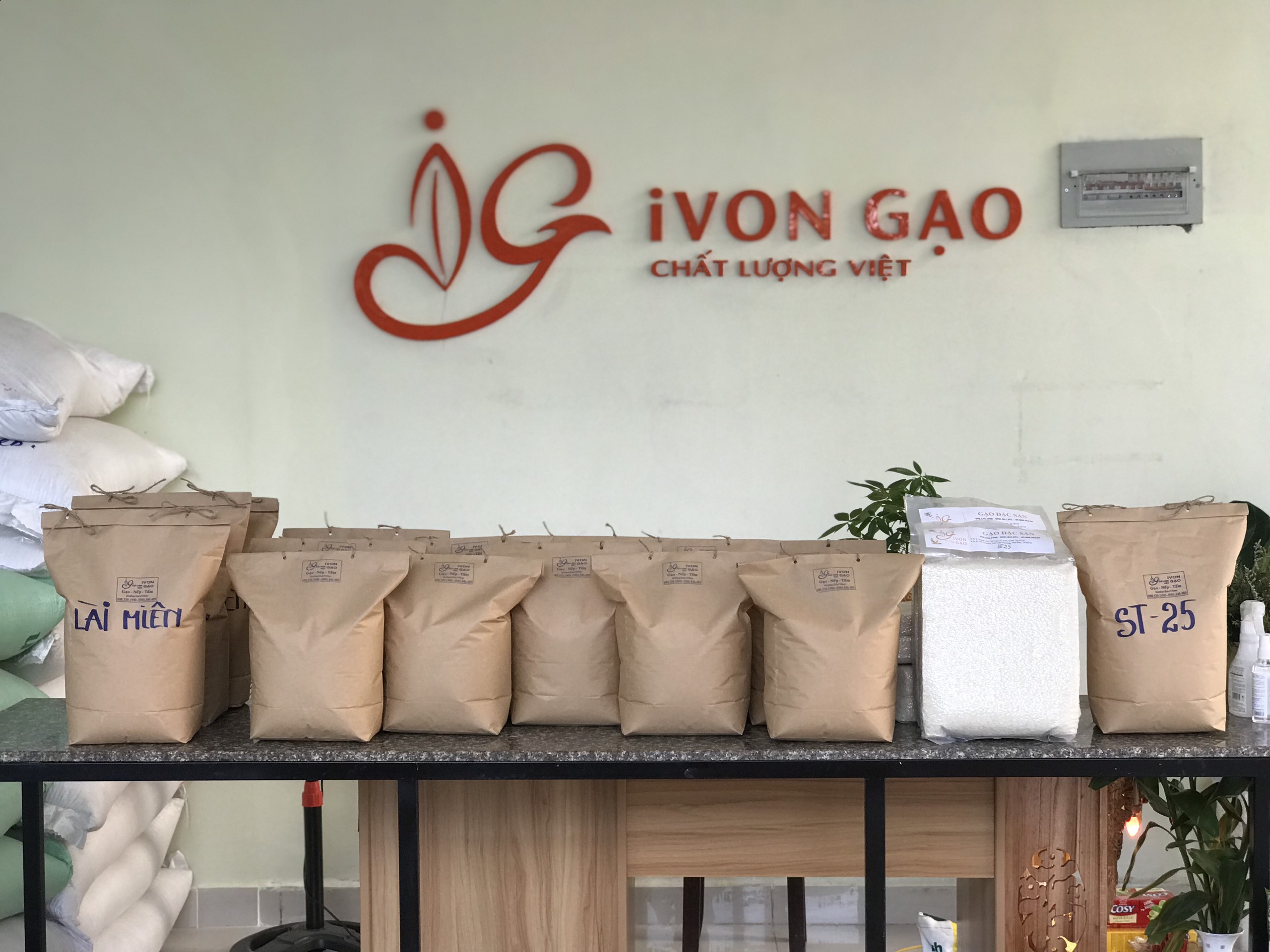 Gạo Nàng Hoa - Túi 5 kg - Dẻo, thơm, mềm cơm