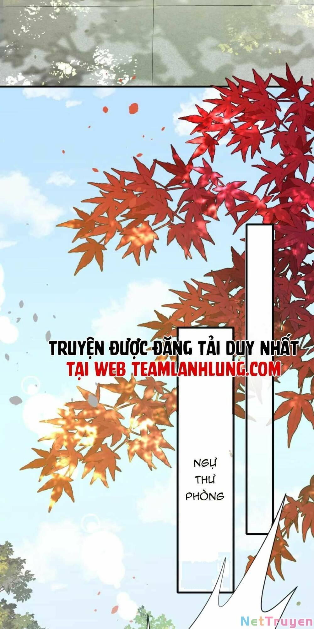 phương thức sinh tồn của công chúa pháo hôi chapter 116 4