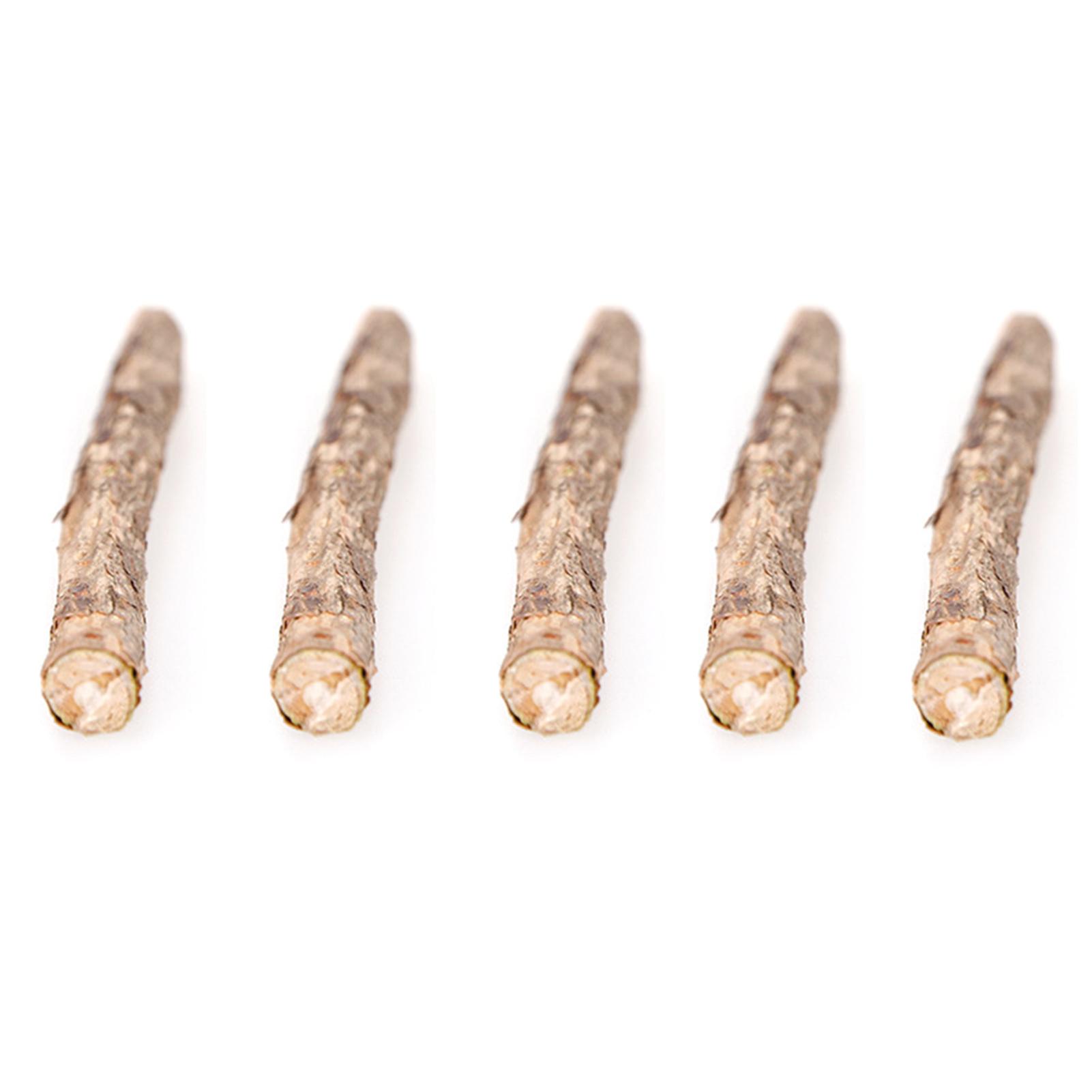 Thanh Gỗ Catnip Bạc Hà Cho Mèo Gặm Sạch Răng