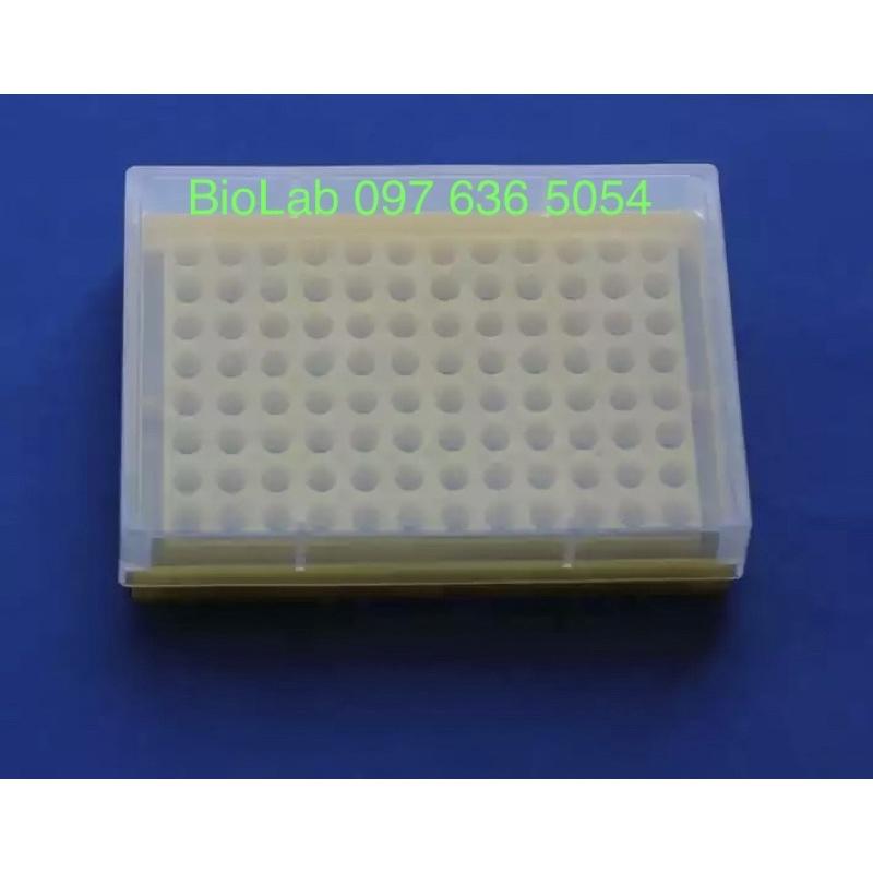 Giá đựng ống PCR 0.2ml, 96 vị trí, Mã CTR1006, hãng FcomBio