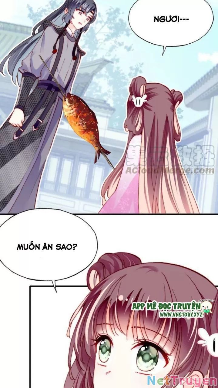 lại bị bệnh chiều chuộng quấn lấy chapter 34 3