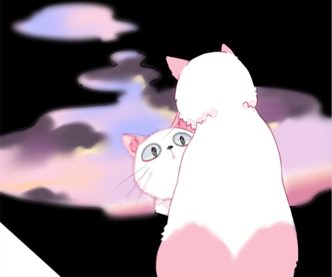 social cat chapter 1 6