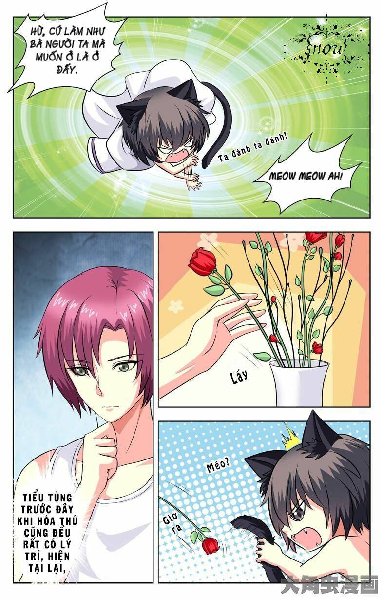 nam thần của tôi chapter 58 4