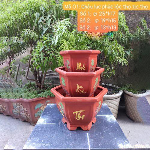 Chậu đất nung chậu đất đỏ chậu cây cảnh phúc lộc thọ