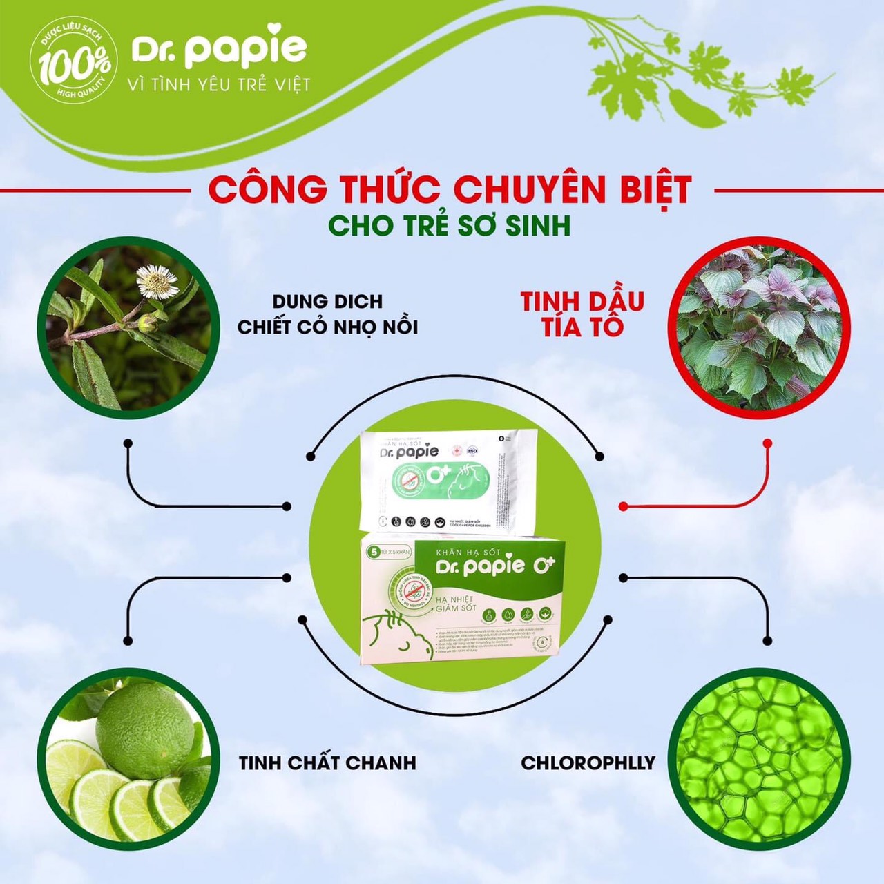 Khăn Lau Hạ Sốt Dr Papie - 1 gói xanh lá cho bé từ 0 tháng trở lên