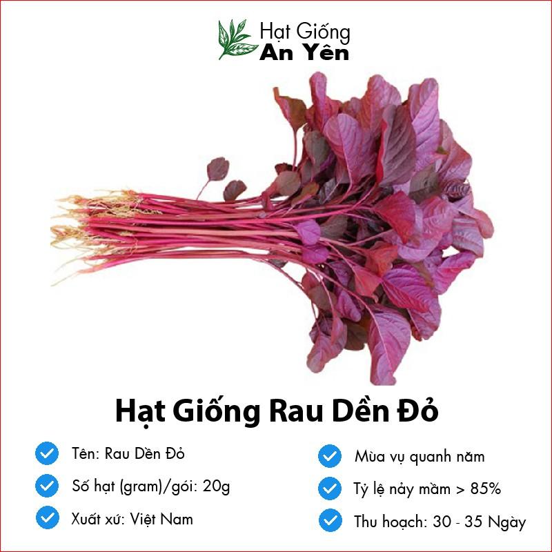 Hạt giống Rau Dền Đỏ thu hoạch sớm, dễ trồng, nảy mầm cao, sinh trưởng khoẻ