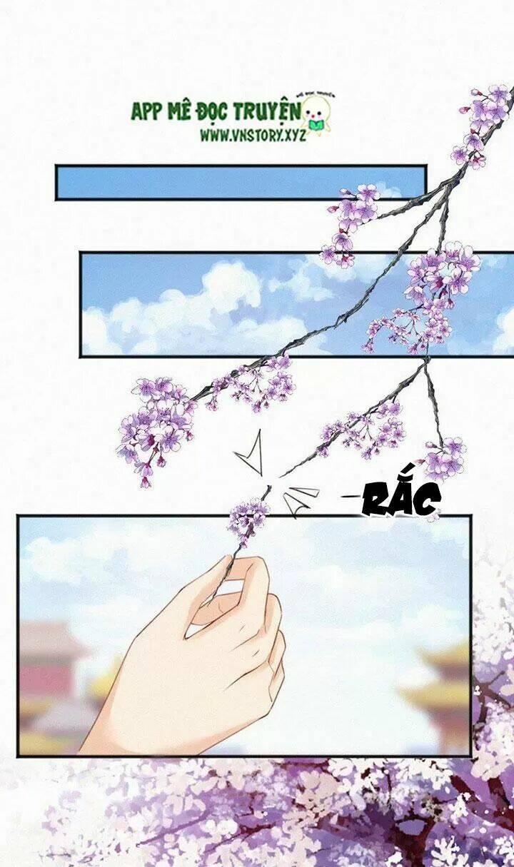 thiên hương mỹ nhân chapter 66 4