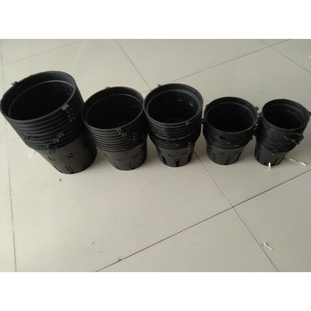 Compo 5 chậu nhựa trồng lan