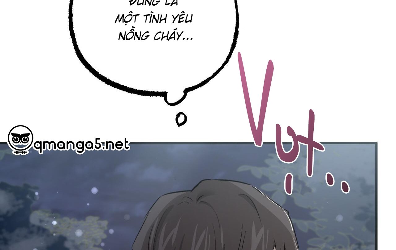 những chú thỏ của hapypy chapter 61 178