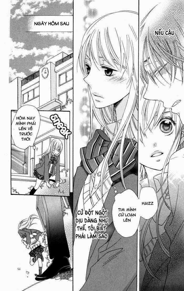 hoa hồng hoang dã chapter 2 19