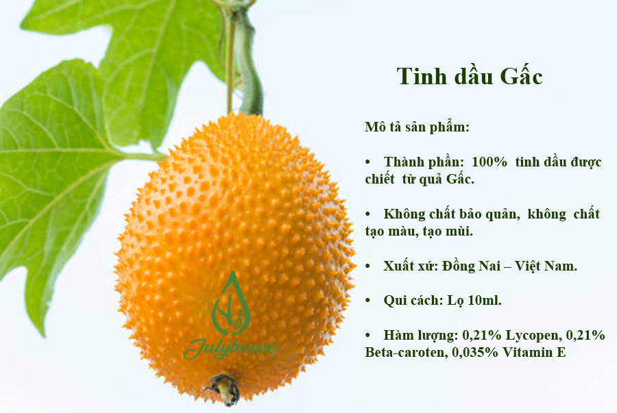 Dầu Gấc Julyhouse