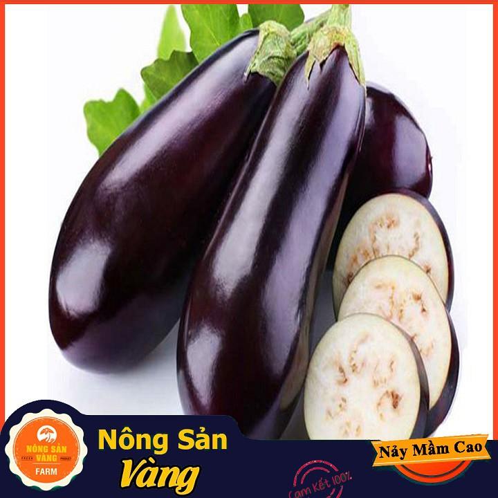Hạt giống Cà Tím Quả Lê
