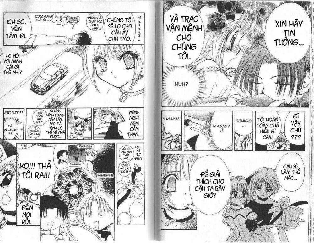 tokyo mew mew chapter 2 11