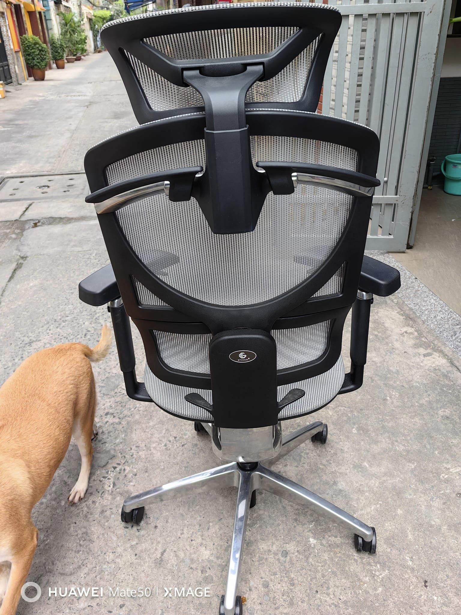 Ghế công thái học GT Chair Ergonomic Isee Xoay Văn Phòng lưới Cao Cấp thông thoáng - ERGOHOME