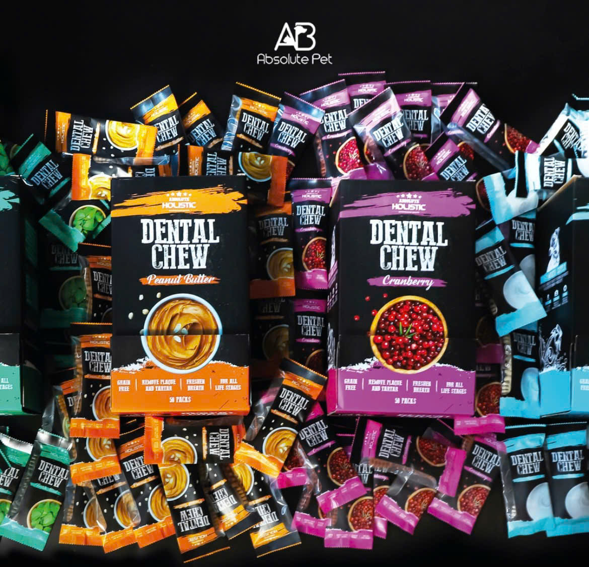 Thanh gặm sạch răng thơm miệng cho chó ABSOLUTE HOLISTIC DENTAL CHEW PET