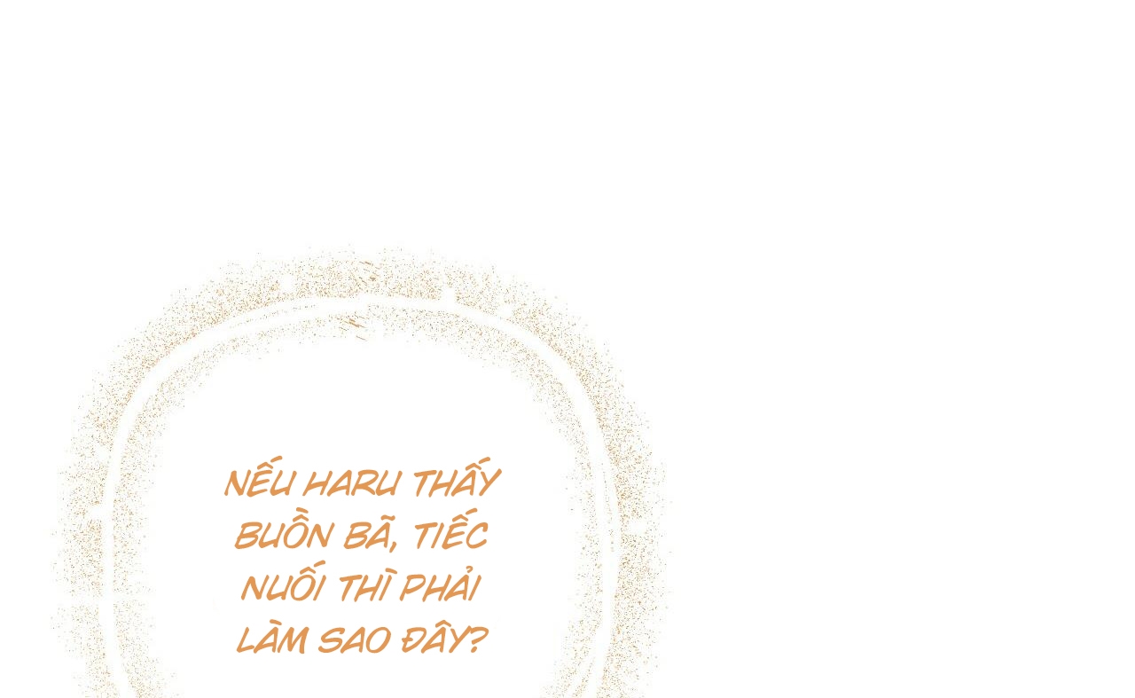 những chú thỏ của hapypy chapter 52 108