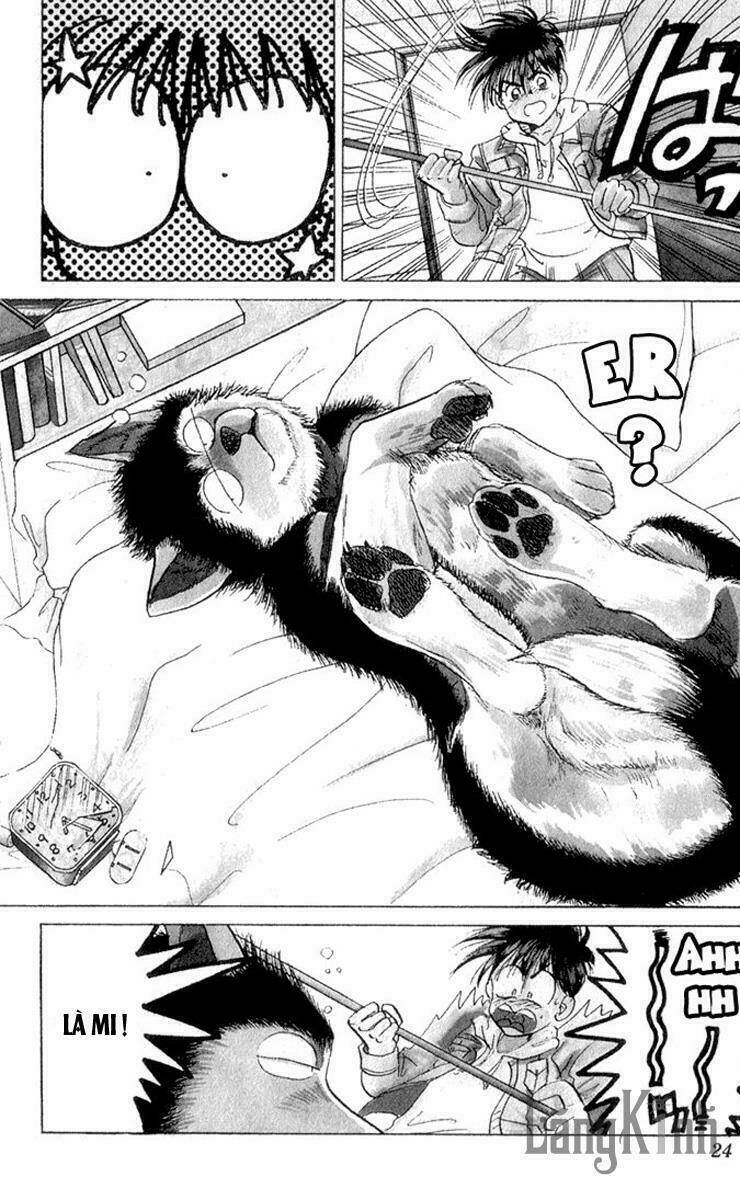 wild half chapter 1 23