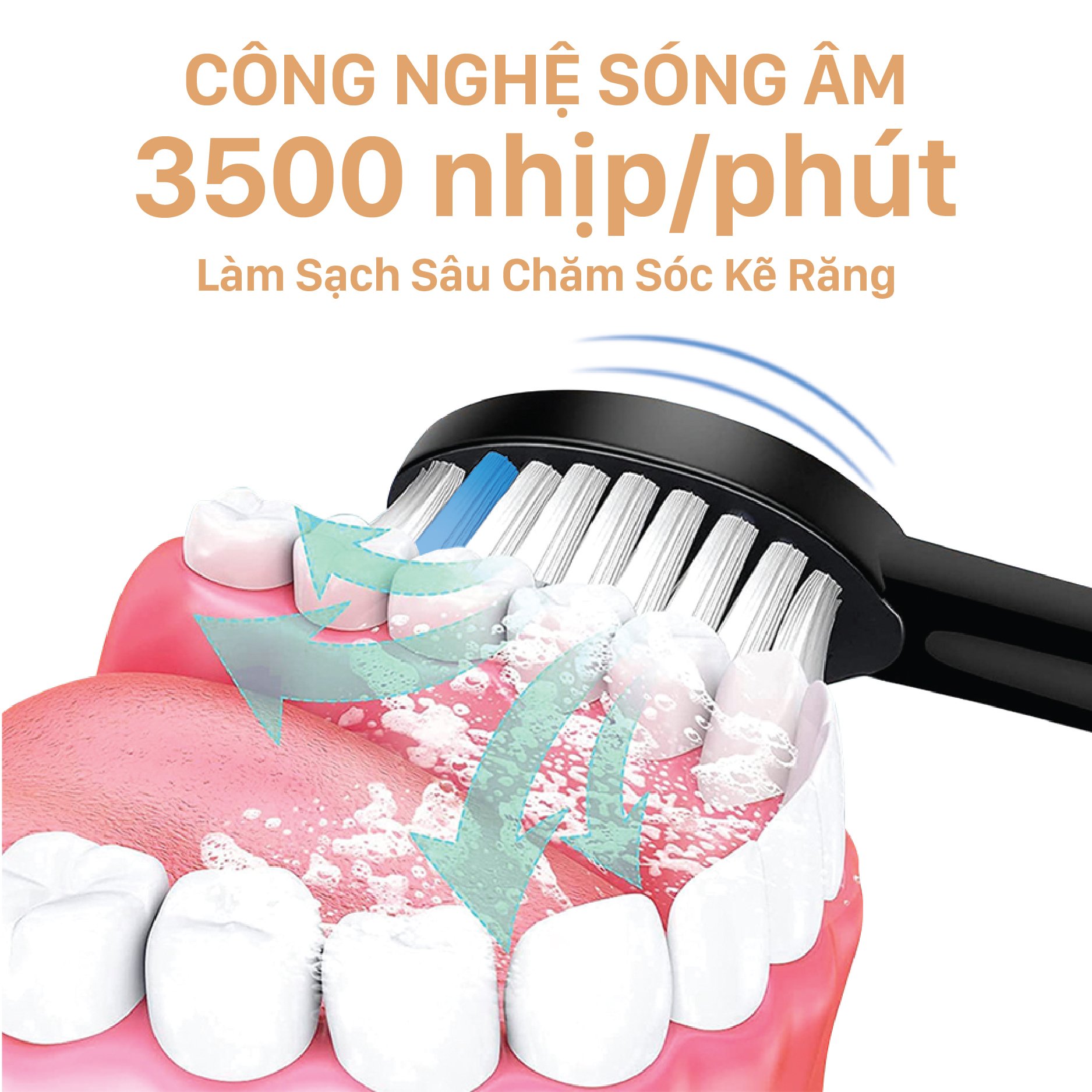 Bàn Chải Điện Lipzo - Công Nghệ Sóng Âm, Chỉ Tơ Nha Khoa Siêu Mảnh, Chải Cực Sạch Cực Sâu Cực Êm Dịu