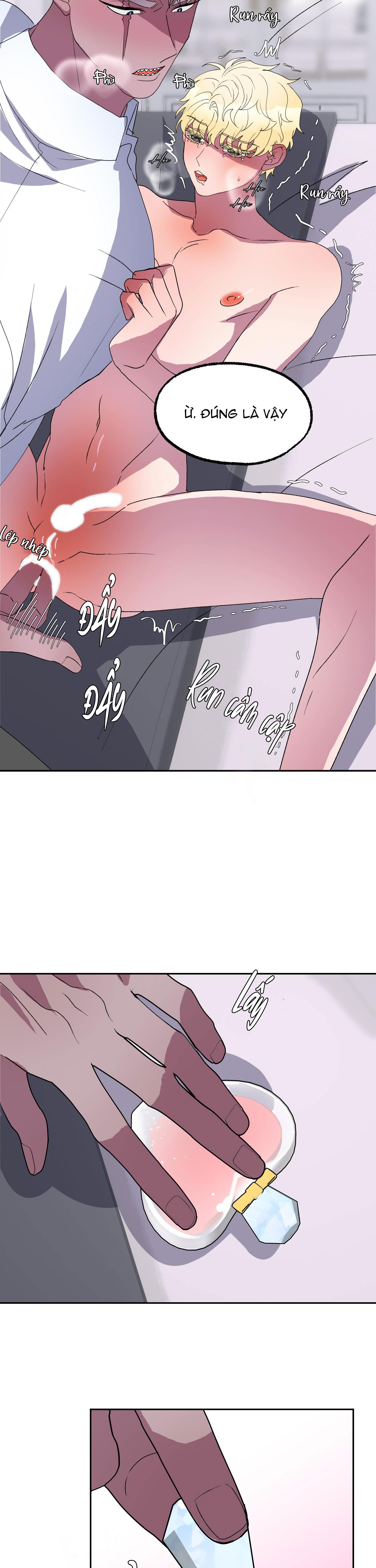 cá mập và cô dâu thỏ chapter 11 17