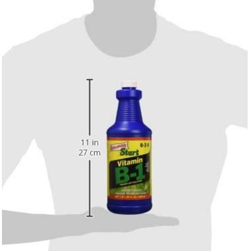 Phân bón Vitamin B1 Chai 946ml - Liquinox USA rất tốt cho Lan