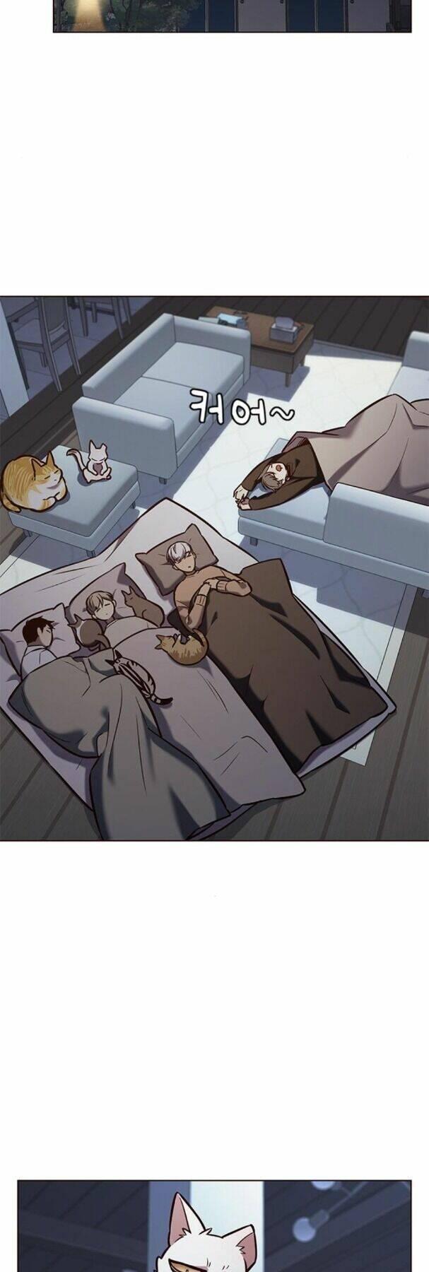 biến thân thành mèo chapter 190 19