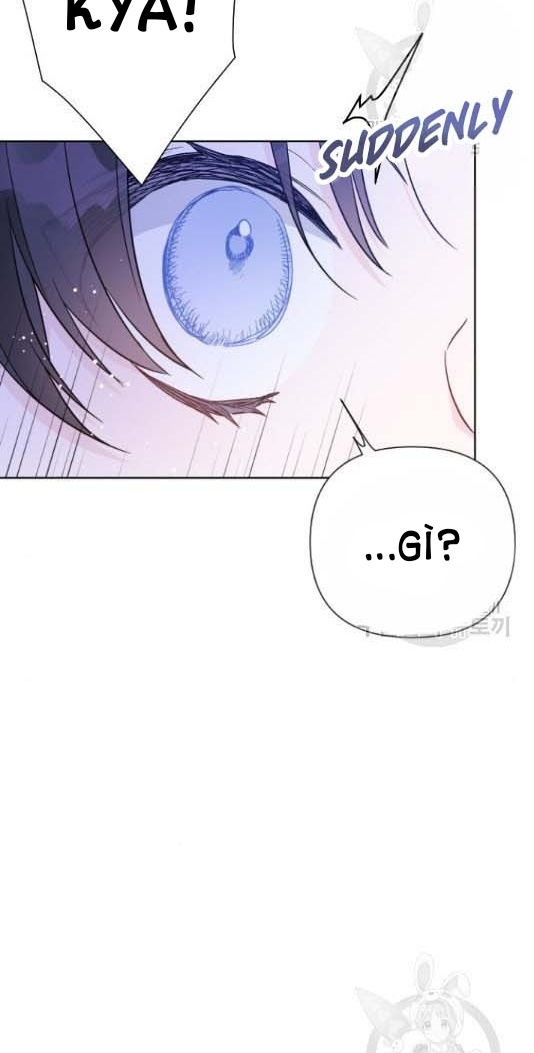 cách hiệp sĩ sống như một tiểu thư chapter 60 42