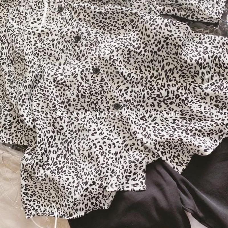 Set Áo Sơ Mi Beo Kèm Quần Legging Lửng - Kèm Hình Thật