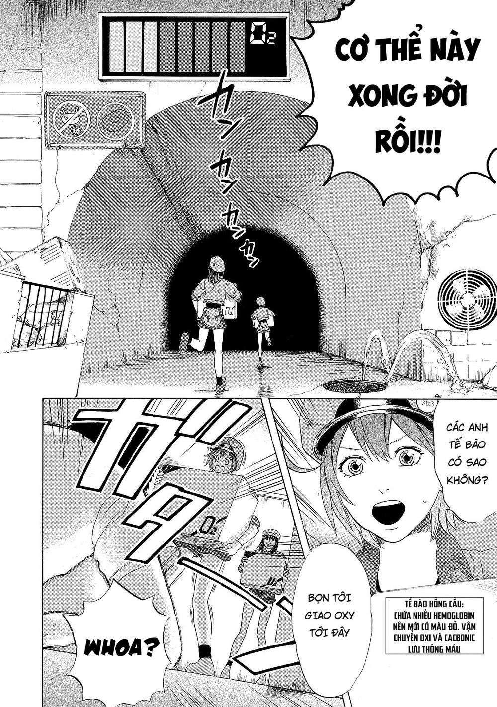 hataraku saibou! chapter 18 4