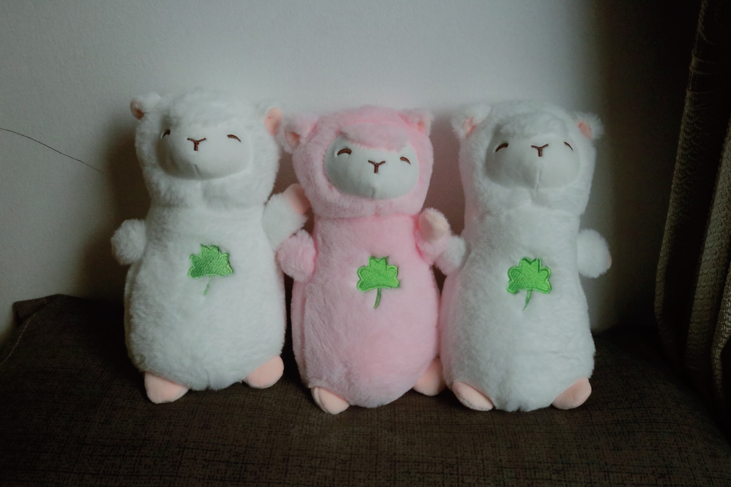 THÚ BÔNG LẠC ĐÀ ALPACA CHO BÉ YÊU