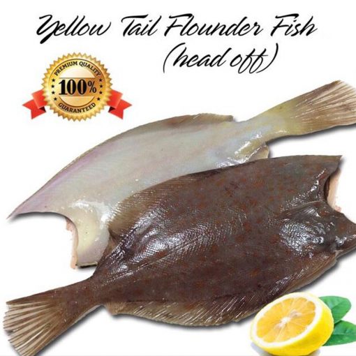HCM - Cá lưỡi trâu Canada làm sạch vĩ 500g /Frozen Grey Sole