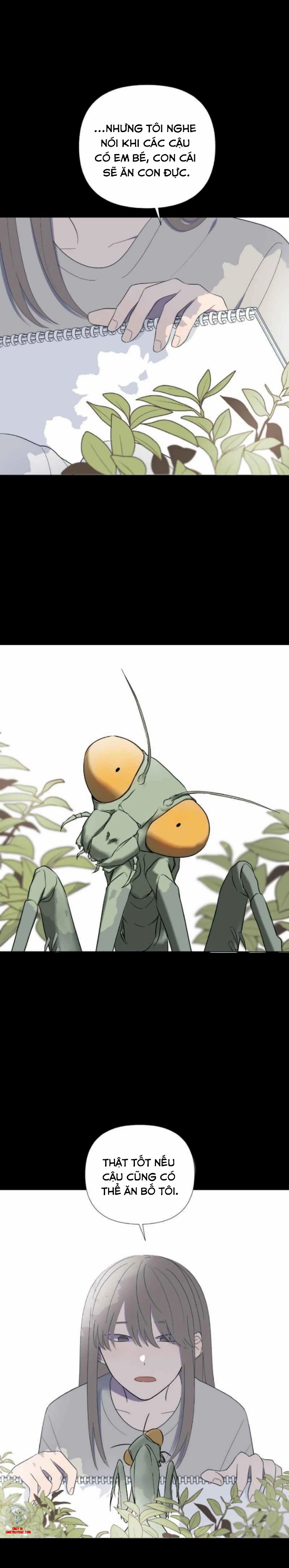 moonchild chapter 28 22