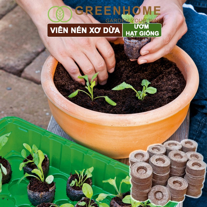 Viên Nén Xơ Dừa Greenhome, Ươm Hạt Giống, Ươm Cây Con Tiện Lợi, Đầy Đủ Dinh Dưỡng, Cây Phát Triển Nhanh