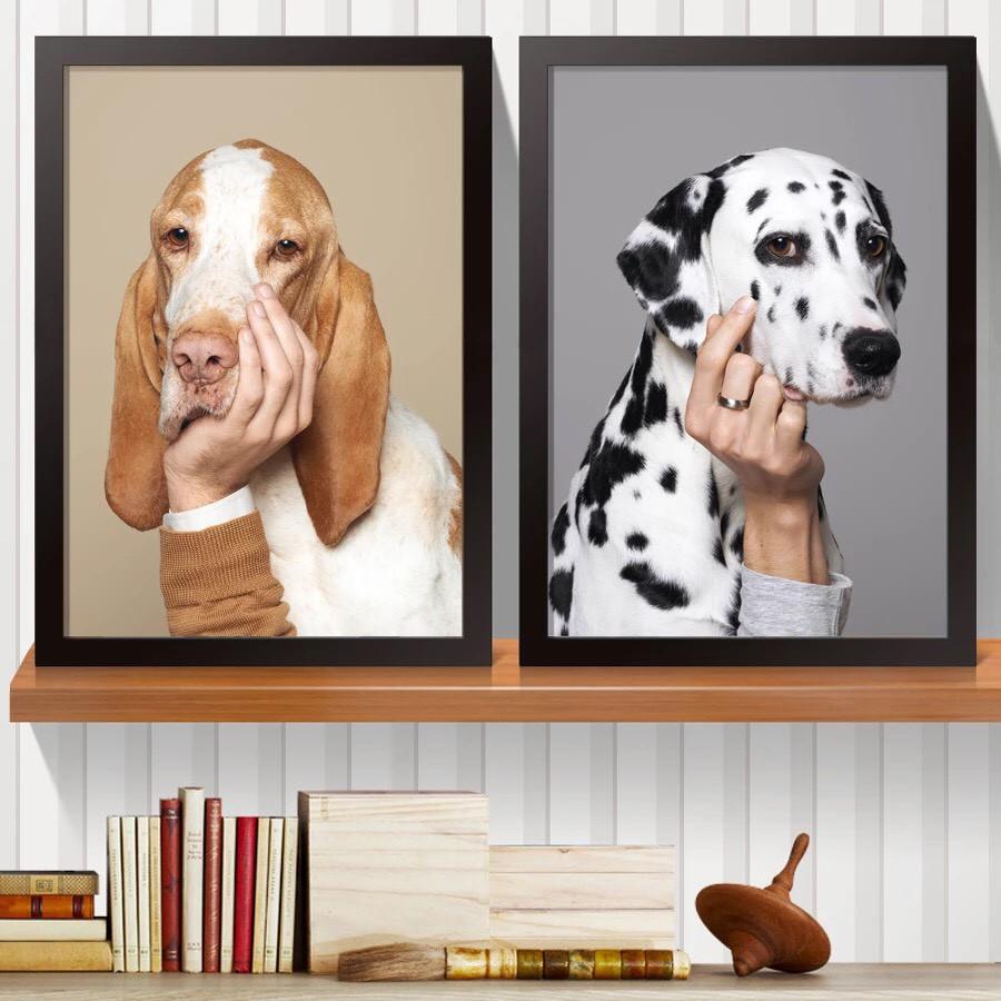 Tranh Chó, mèo suy tư, tranh canvas ngộ nghĩnh treo phòng, trang trí nhà cửa