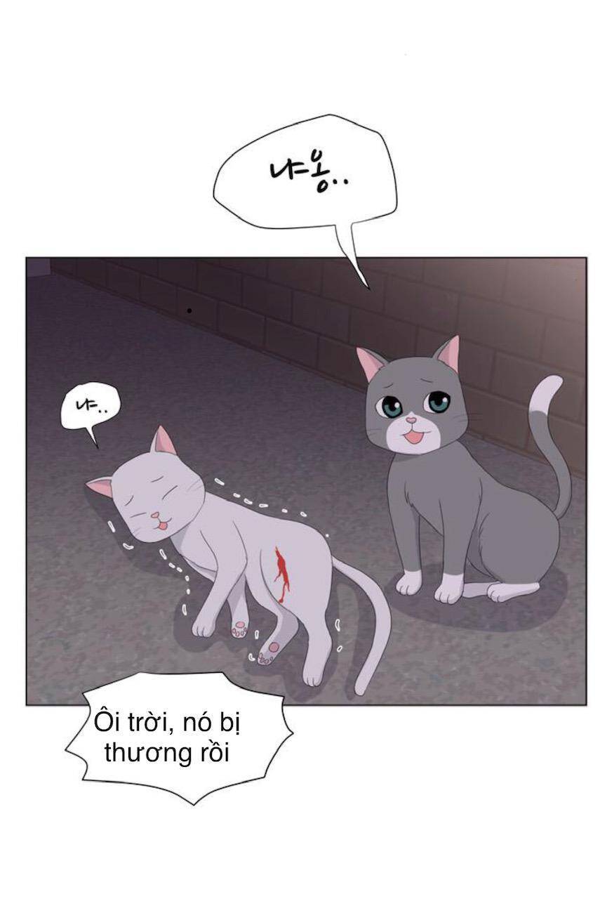 idol và sếp, em yêu ai? chapter 21 23