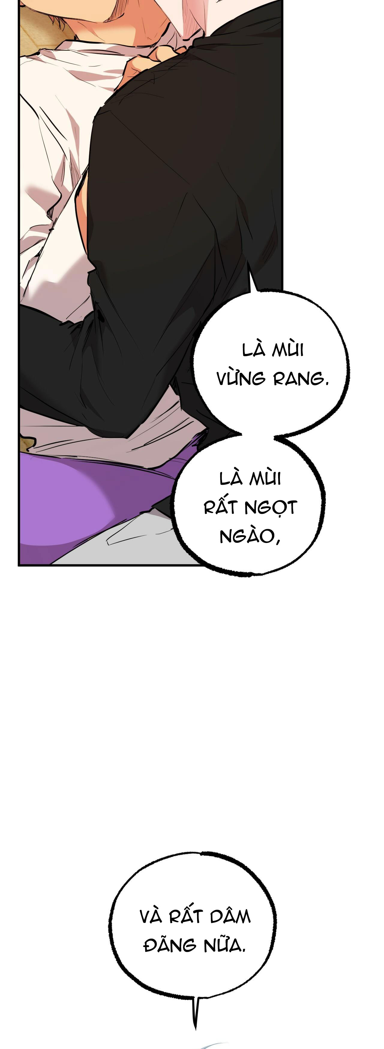 những chú thỏ của hapypy chapter 35 58