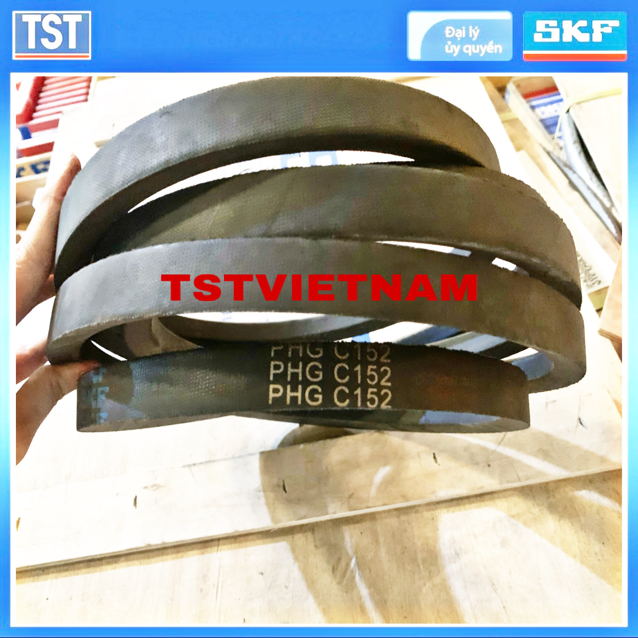 Dây đai SKF PHG C152 (Hàng chính hãng 100%)