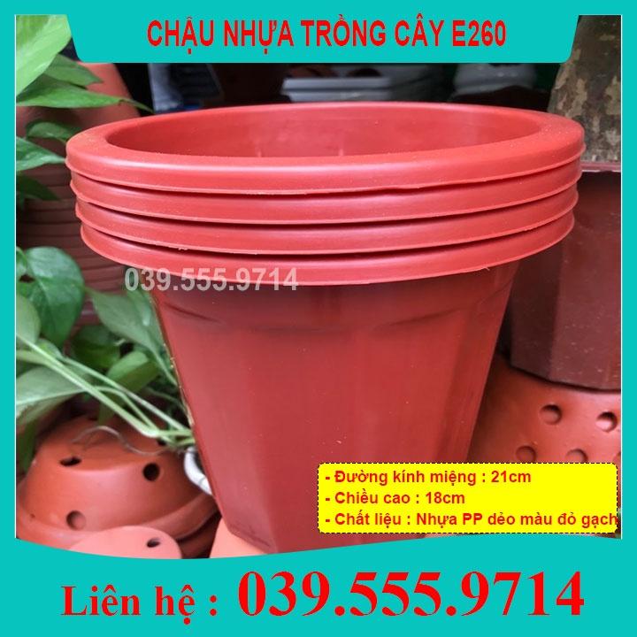 10 Chậu Nhựa Trồng Cây E260 - Chậu Nhựa Bền Đẹp Trồng Hoa Cây Cảnh