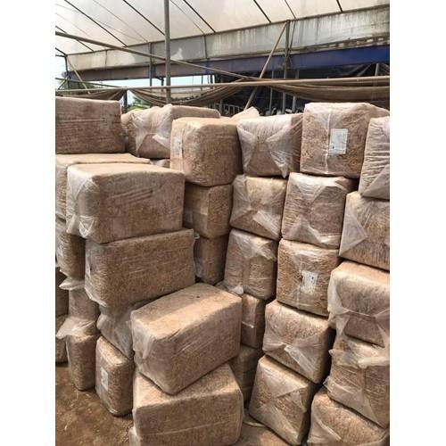 Rêu sâu ChiLe gói 100g