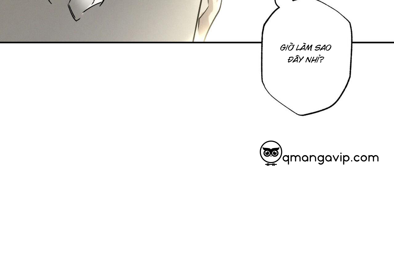 chàng giao pizza và gold palace chapter 45 31