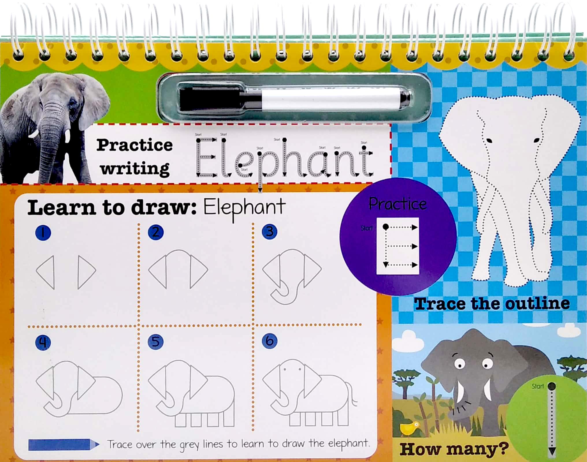 Wipe Clean Easel Book With Pen - Animals