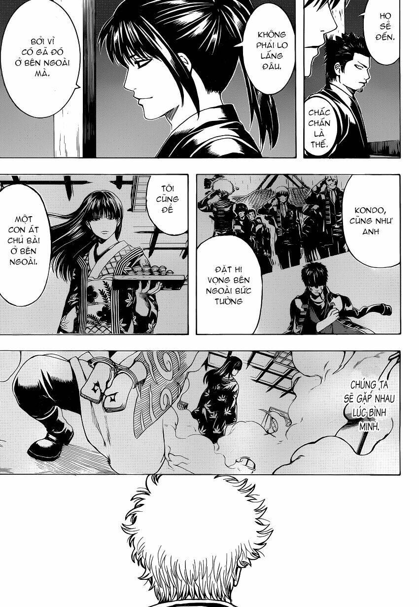 gintama - linh hồn bạc chapter 532 15
