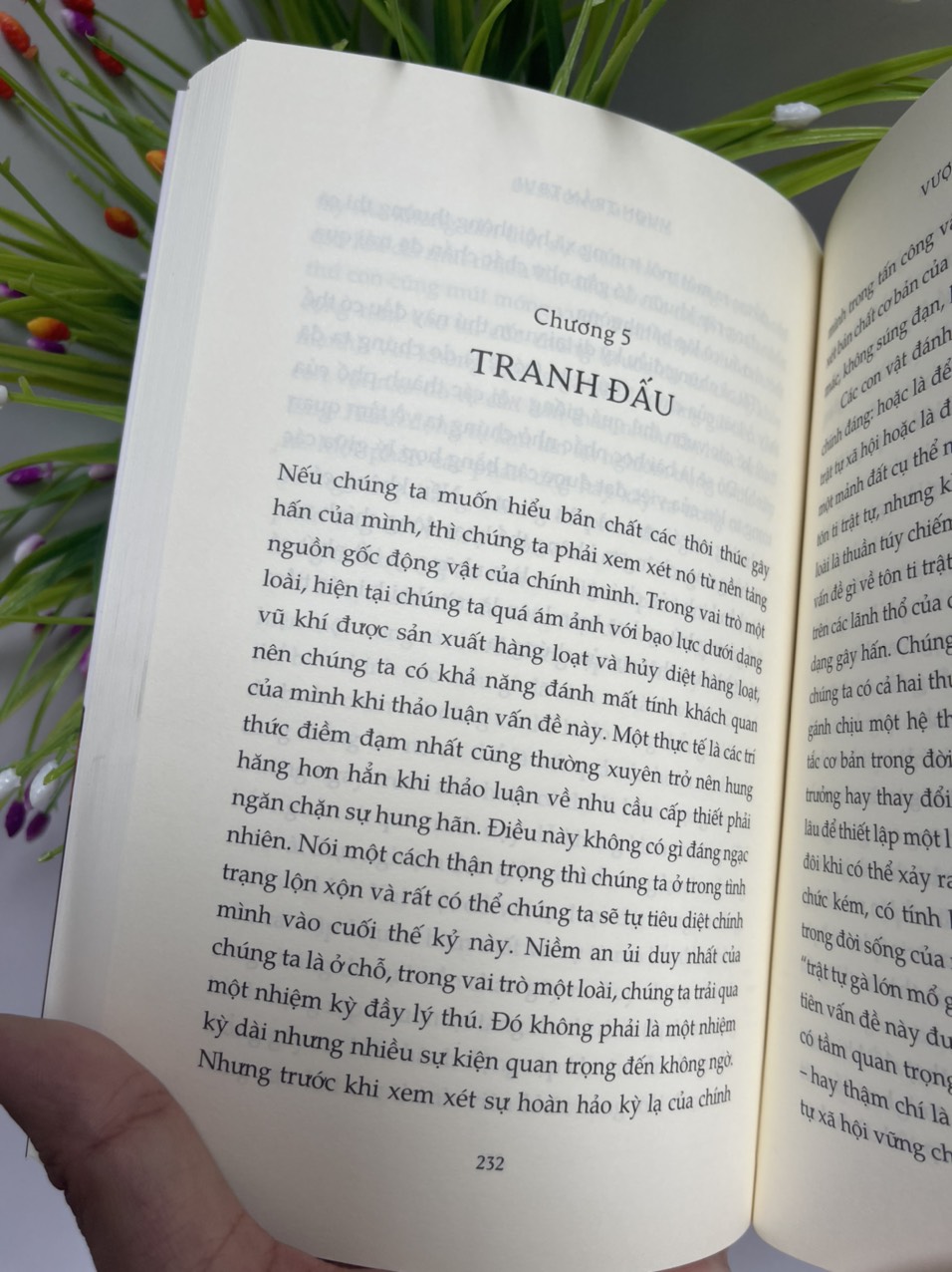 VƯỢN TRẦN TRỤI và VƯỜN THÚ NGƯỜI – Vương Ngân Hà dịch – Nhã Nam