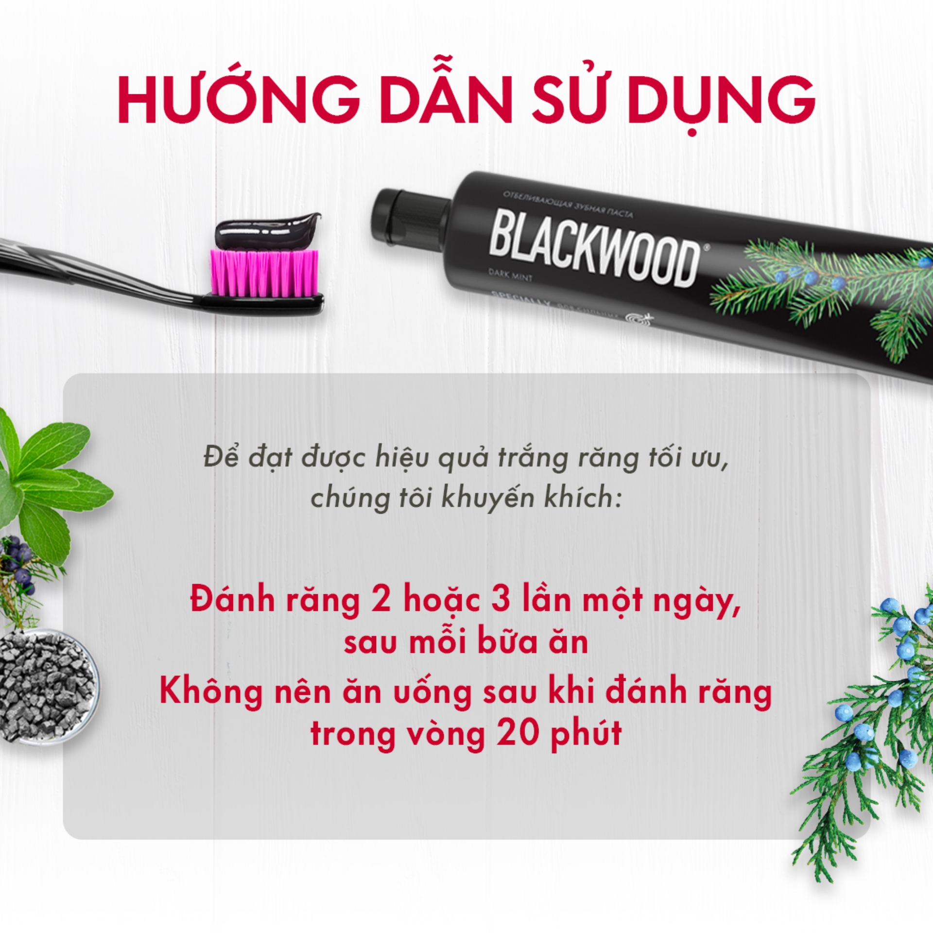 Kem Đánh Răng Làm Trắng Răng SPLAT Blackwood Special Không Chứa Florua Thân Thiện Với Cả Người Ăn Chay Dung Tích 75ml